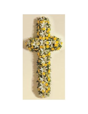 CRUCES (elegantes)