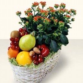 CANASTAS CON PLANTAS Y FRUTAS