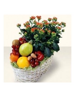 CANASTAS CON PLANTAS Y FRUTAS