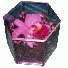 BOX WITH ORCHID