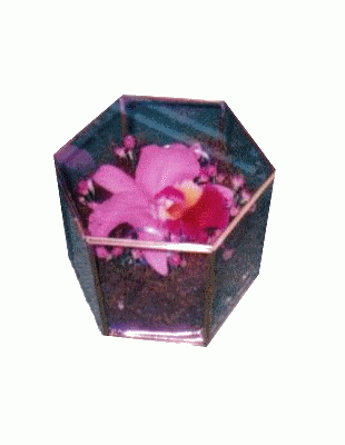 CAJA DE ORQUÍDEA