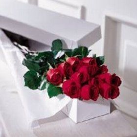 BOX OF 12 ROSES