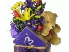 CAJAS Y PELUCHES